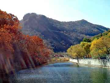 澳门二四六天天彩图库，佳丽纤美